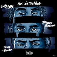 Purchase Lil Tjay - Not In The Mood (Feat. Fivio Foreign & Kay Flock) (CDS)