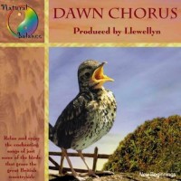 Purchase Llewellyn - Dawn Chorus