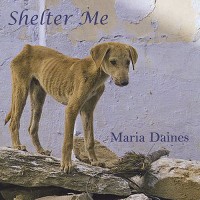 Purchase Maria Daines - Shelter Me