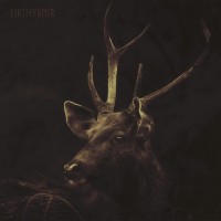 Purchase Munknörr - Eikthyrnir