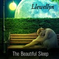 Buy Llewellyn - The Beautiful Sleep (CDS) Mp3 Download