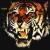 Buy Tiger - Tiger (Vinyl) Mp3 Download
