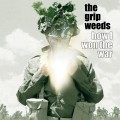 Buy The Grip Weeds - How I Won The War Mp3 Download