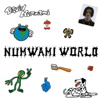 Purchase David Numwami - Numwami World