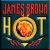 Buy James Brown - Hot (Vinyl) Mp3 Download