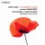 Buy Nash Ensemble & Martyn Brabbins - John Pickard: The Gardener Of Aleppo & Other Chamber Works Mp3 Download