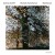 Buy Andras Schiff - Beethoven: Diabelli-Variationen CD1 Mp3 Download