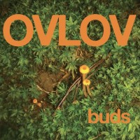 Purchase Ovlov - Buds