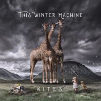 Purchase This Winter Machine - Kites