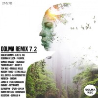 Purchase VA - Dolma Remix 7: Years Two