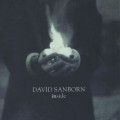 Buy David Sanborn - Inside Mp3 Download