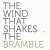 Buy Peter Broderick - The Wind That Shakes The Bramble (EP) Mp3 Download