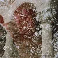 Purchase Growing & Mary Lattimore - Gainer (EP)