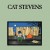 Buy Cat Stevens - Teaser And The Firecat (50Th Anniversary Edition) CD2 Mp3 Download