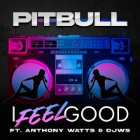 Purchase Pitbull - I Feel Good (Feat. Anthony Watts & Djws) (CDS)