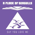 Buy A Flock Of Seagulls - Say You Love Me (MCD) Mp3 Download