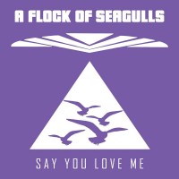 Purchase A Flock Of Seagulls - Say You Love Me (MCD)