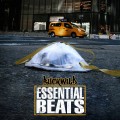 Buy Buckwild - Essential Beats Mp3 Download