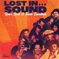 Buy VA - Lost In Sound - Rare Soul & Funk Essentials Mp3 Download