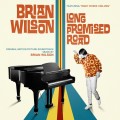 Purchase Brian Wilson - Long Promised Road Mp3 Download