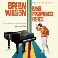 Purchase Brian Wilson - Long Promised Road