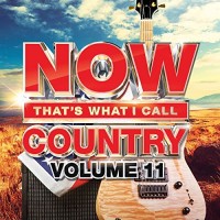 Purchase VA - Now That's What I Call Country Vol. 11