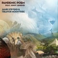 Buy Jamie Stevens & Treavor Moontribe - Pandemic Poem (Feat. Jonny Jenkins) (CDS) Mp3 Download