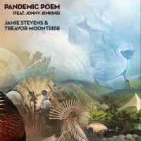 Purchase Jamie Stevens & Treavor Moontribe - Pandemic Poem (Feat. Jonny Jenkins) (CDS)