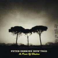 Purchase Peter Erskine New Trio - In Praise Of Shadows