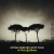 Buy Peter Erskine New Trio - In Praise Of Shadows Mp3 Download