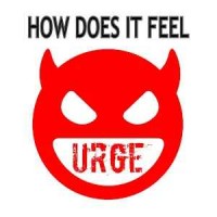 Purchase The Urge - How Does It Feel (CDS)