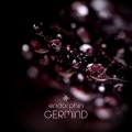 Buy Germind - Endorphin Mp3 Download