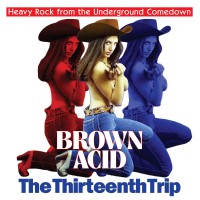 Purchase VA - Brown Acid - The Thirteenth Trip