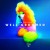 Buy Dan Deacon - Well Groomed Mp3 Download