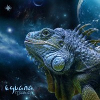 Purchase Eguana - Destiny Vol. 2