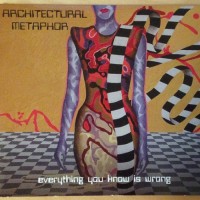 Purchase Architectural Metaphor - Everything You Know Is Wrong