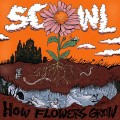 Buy Scowl - How Flowers Grow Mp3 Download