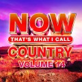 Buy VA - Now That's What I Call Country Vol. 14 Mp3 Download