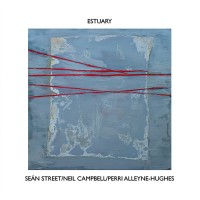 Purchase Seán Street, Neil Campbell & Perri Alleyne-Hughes - Estuary