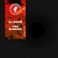 Buy DJ Dove - Fire Burning (Extended Mix) (CDS) Mp3 Download