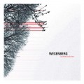 Buy Wesenberg - Counterclockwise Mp3 Download