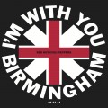 Buy Red Hot Chili Peppers - I'm With You - 2011-11-19 Birmingham, UK Mp3 Download