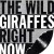 Purchase The Wild Giraffes- Right Now (Vinyl) MP3