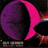 Purchase Guy Gerber - What To Do (Remixes) (EP)