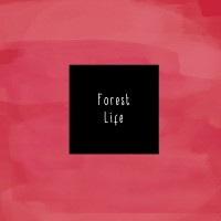 Purchase Mccafferty - Forest Life