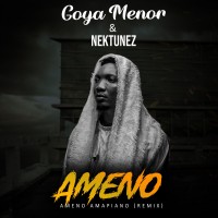 Purchase Goya Menor & Nektunez - Ameno Amapiano (Remix) (CDS)