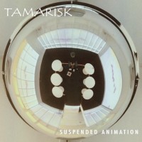 Purchase Tamarisk - Suspended Animation