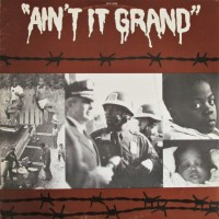 Purchase Eric Bibb - Ain't It Grand (Vinyl)