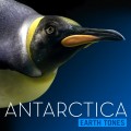 Purchase Bleeding Fingers - Earth Tones: Antarctica Mp3 Download