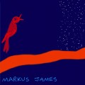 Buy Markus James - Nightbird Mp3 Download